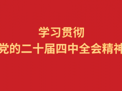 学习贯彻党的二十届四中全会精神