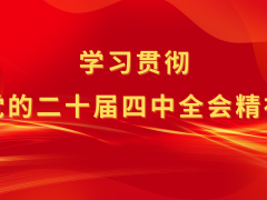 学习贯彻党的二十届四中全会精神